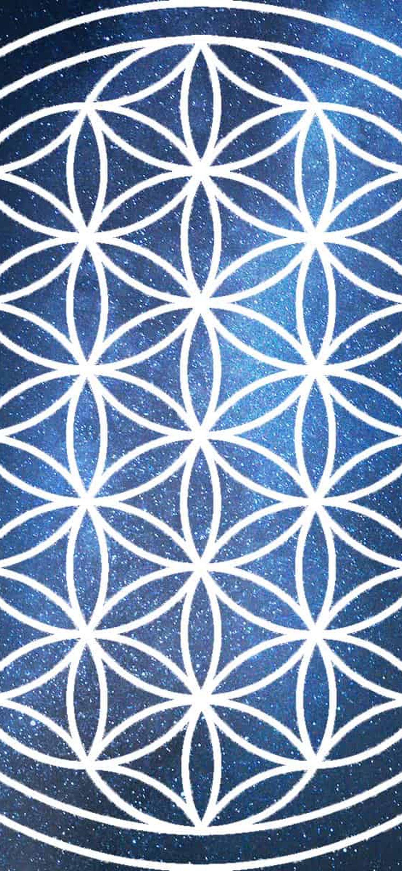 1284x2778  Цветок жизни обои на телефон [17+ изображений]