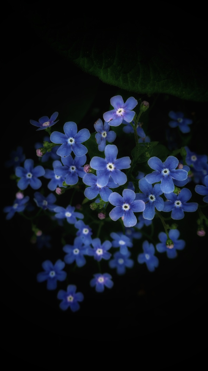 700x1244  Обои на телефон: истории из жизни, советы, новости, юмор и картинки — Все  посты | Пикабу