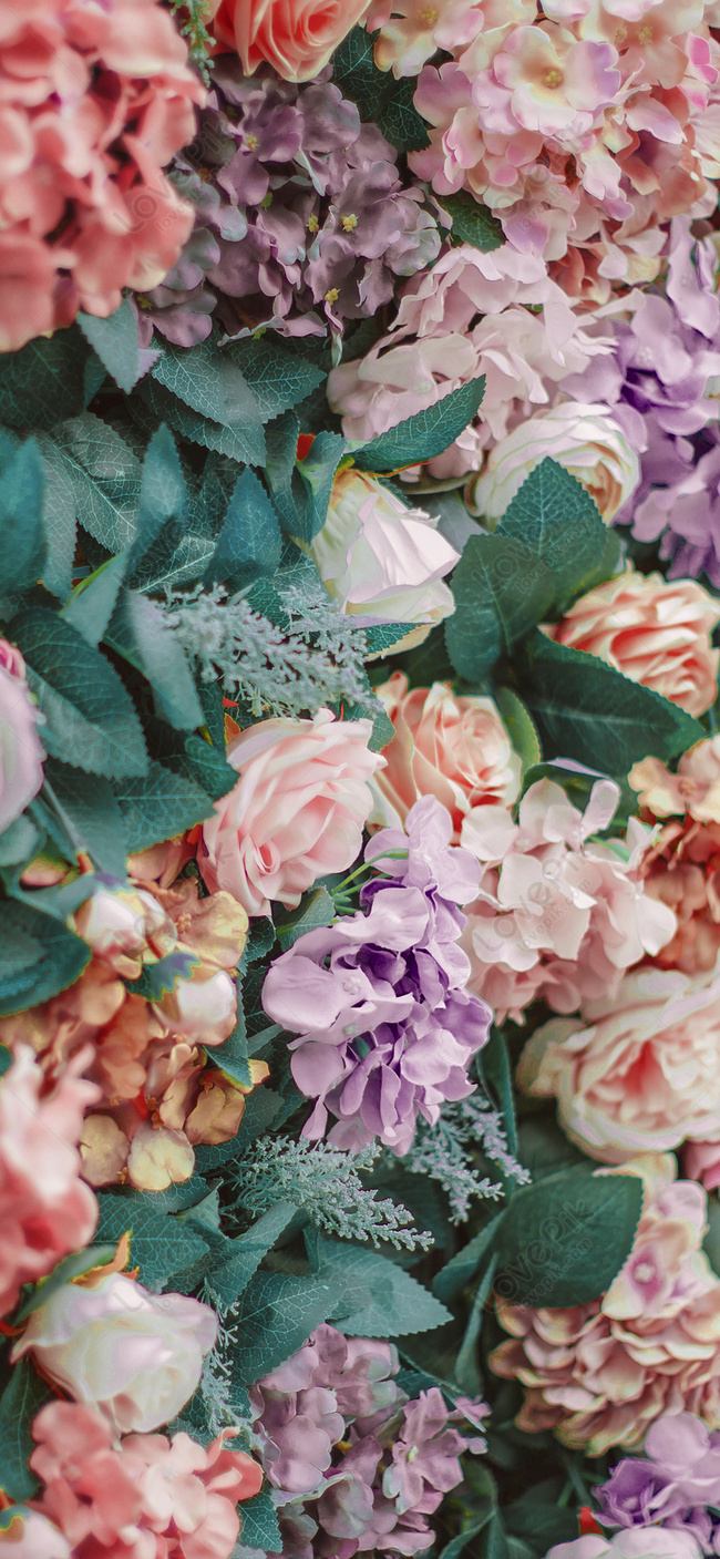 650x1407  Цветочные обои на телефон изображение_Фото номер 400376526_JPG Формат  изображения_ru.lovepik.com
