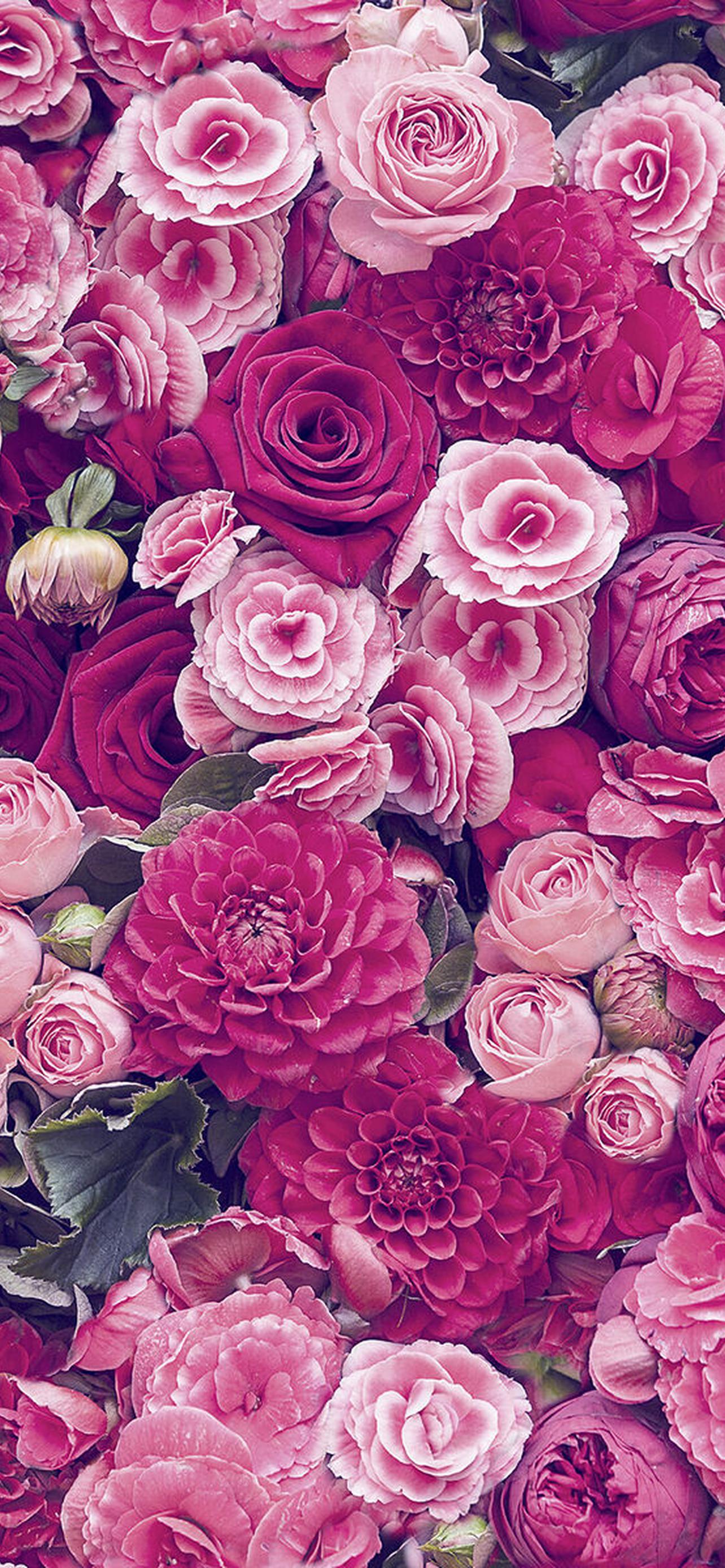 1284x2778  Цветы обои на телефон [30+ изображений]