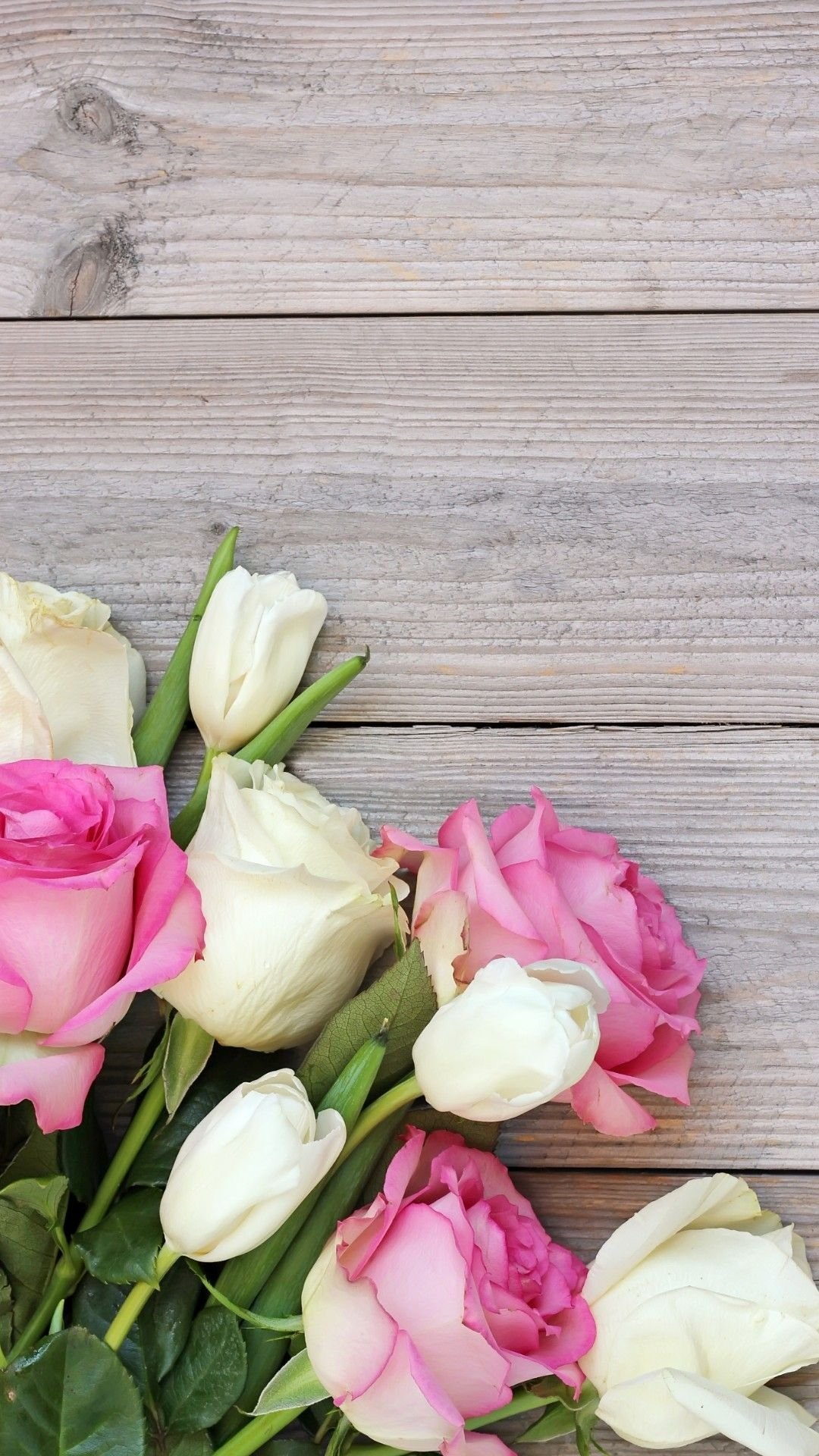 1080x1920  Обои на телефон айфон цветы - фото и картинки abrakadabra.fun