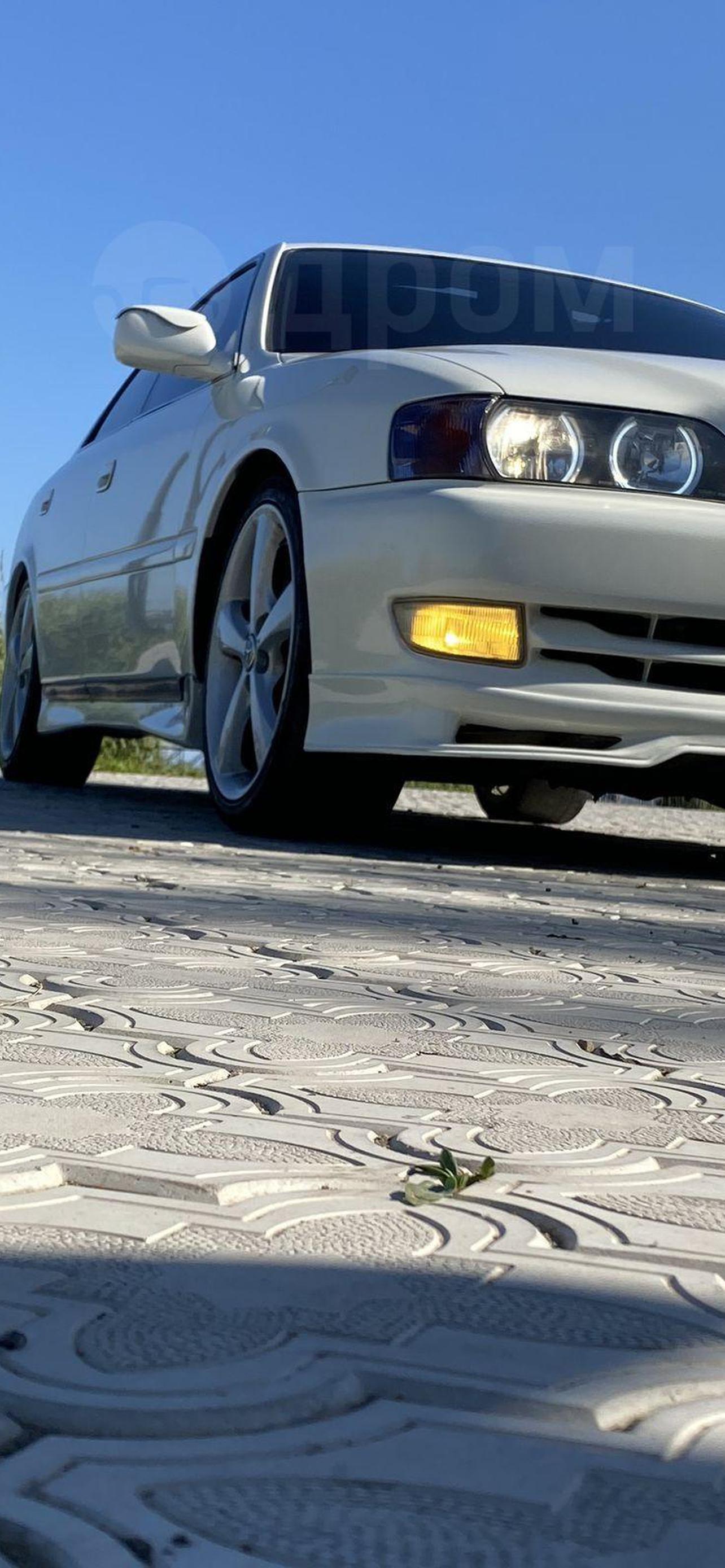 1284x2778  Chaser 100 обои на телефон [26+ изображений]