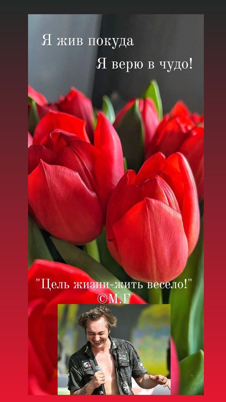 736x1308  Обои Король и Шут в 2023 г | Обои для телефона, Обои, Король