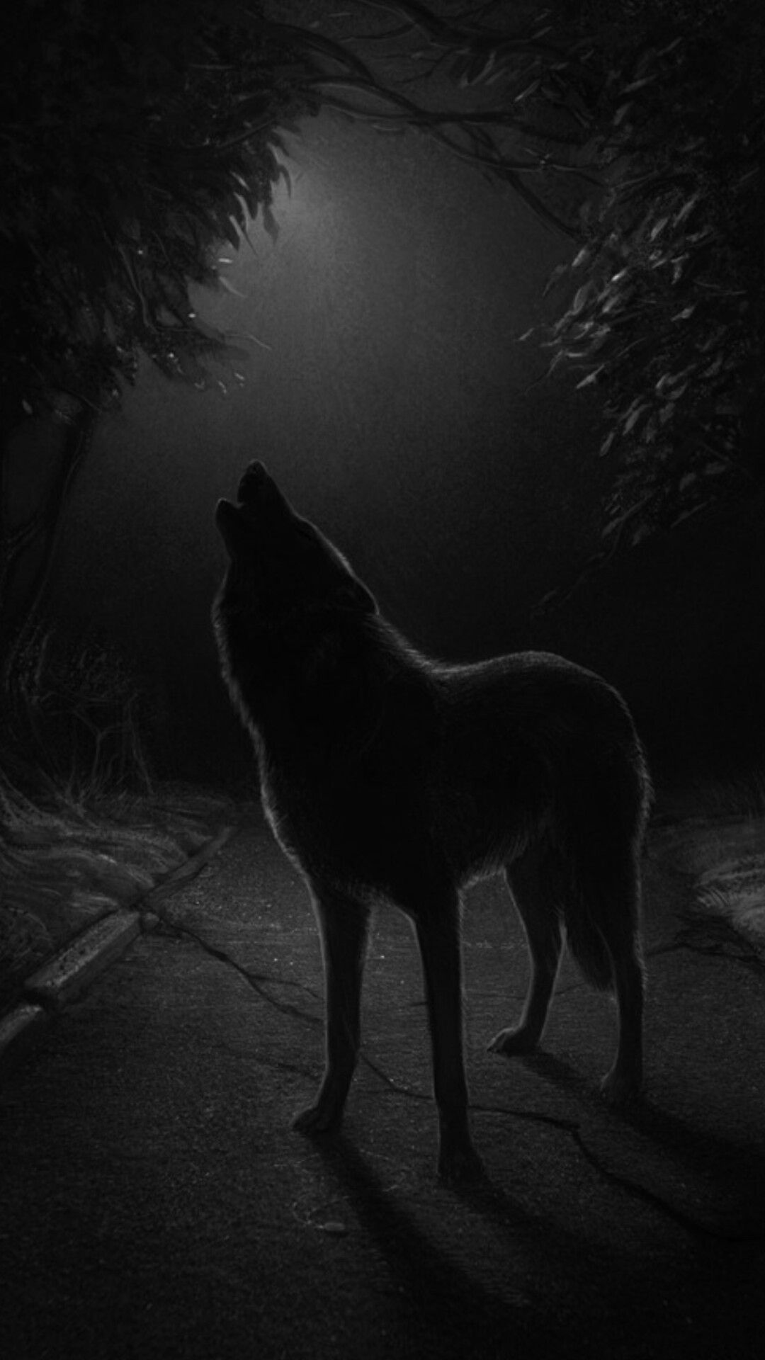 1080x1920  Идеи на тему «Волки» (28) в 2023 г | черные волки, живопись с волками,  белые волки
