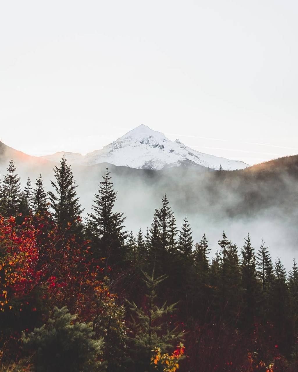 1025x1280  Картинки на заставку телефона горы - 57 фото