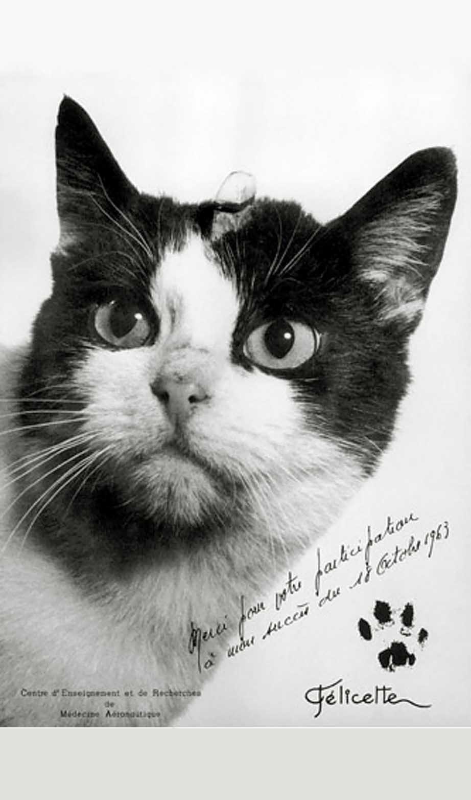 922x1564  космосиздома