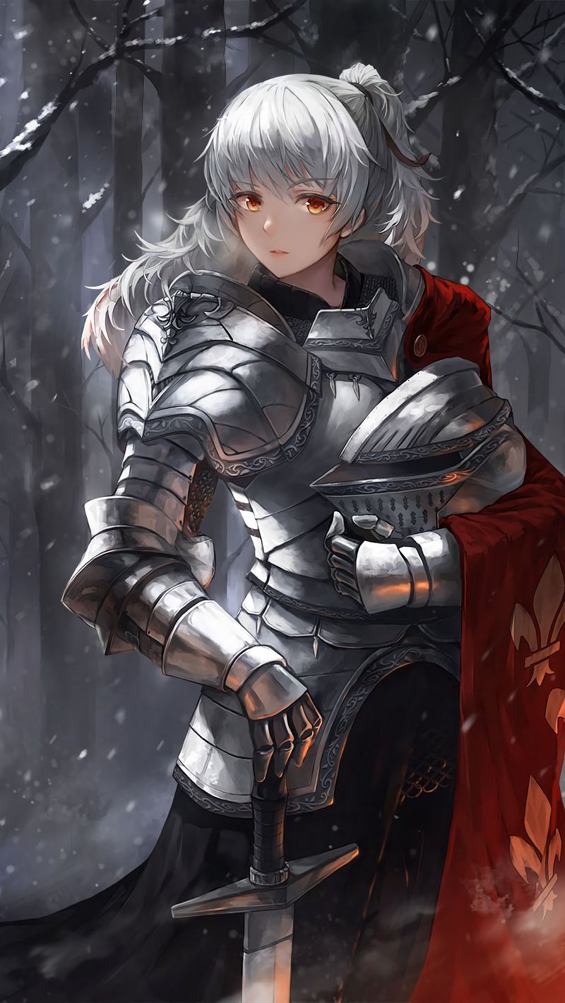 800x1420  Скачать 800x1420 девушка, рыцарь, воин, доспехи, меч, аниме обои, картинки  iphone se/5s/5c/5 for parallax
