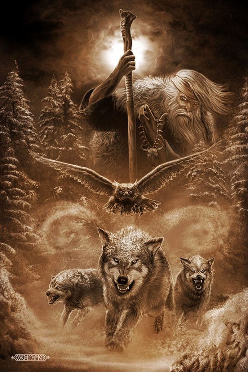 800x1202  Слава роду картинки - 70 фото