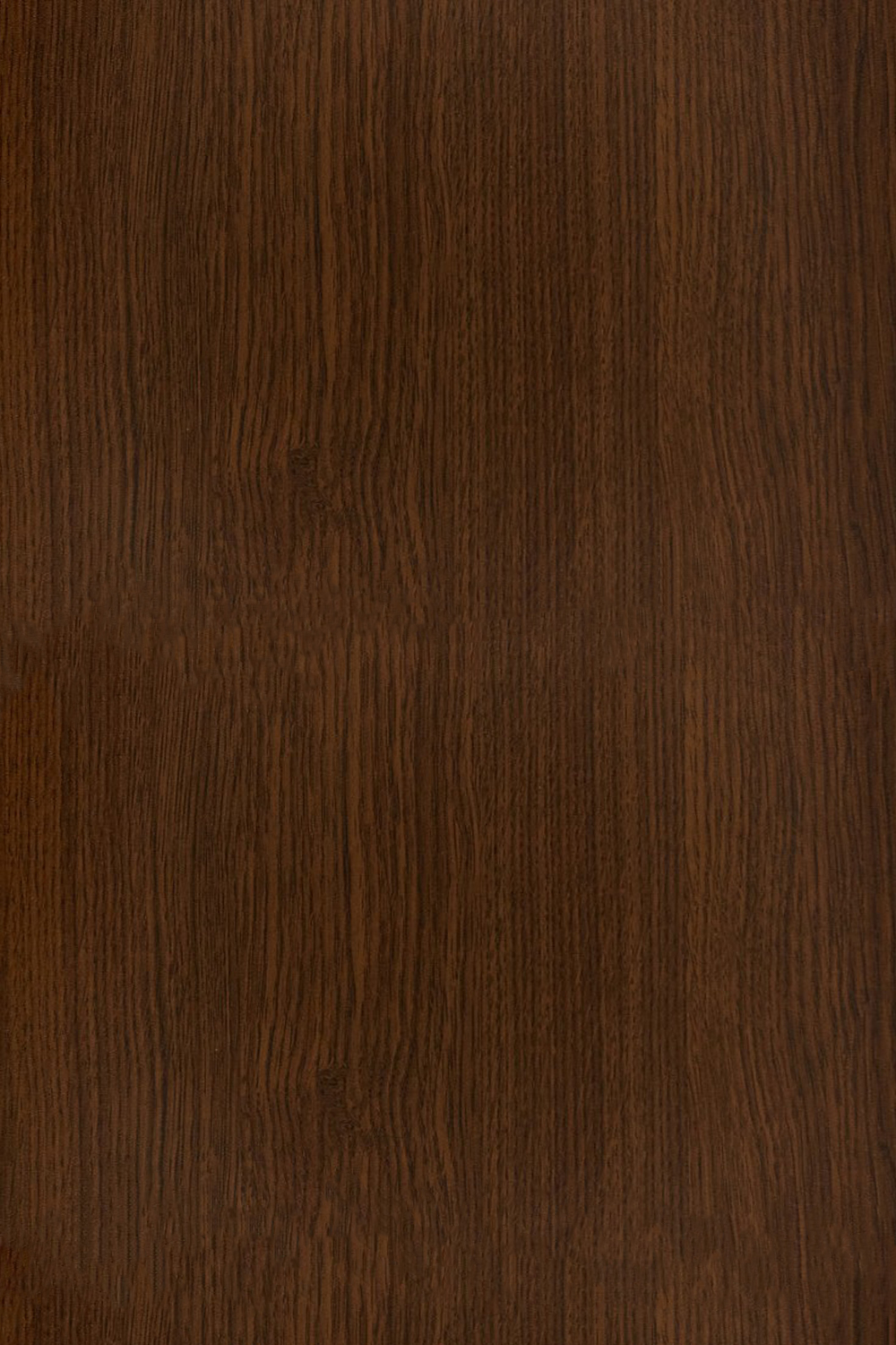 1000x1500  Текстология славянской Библии | Facebook