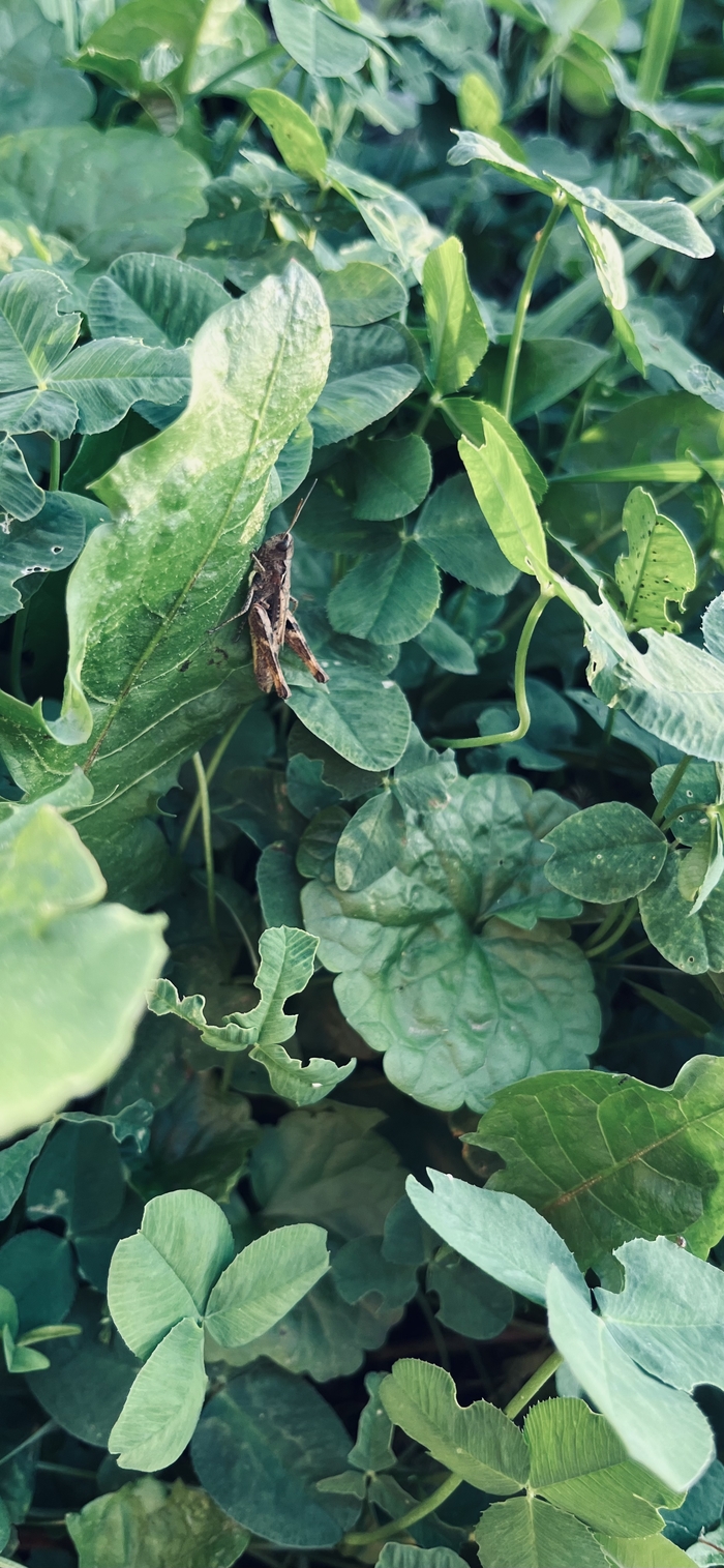 700x1515  iPhone 13: истории из жизни, советы, новости, юмор и картинки — Все посты |  Пикабу