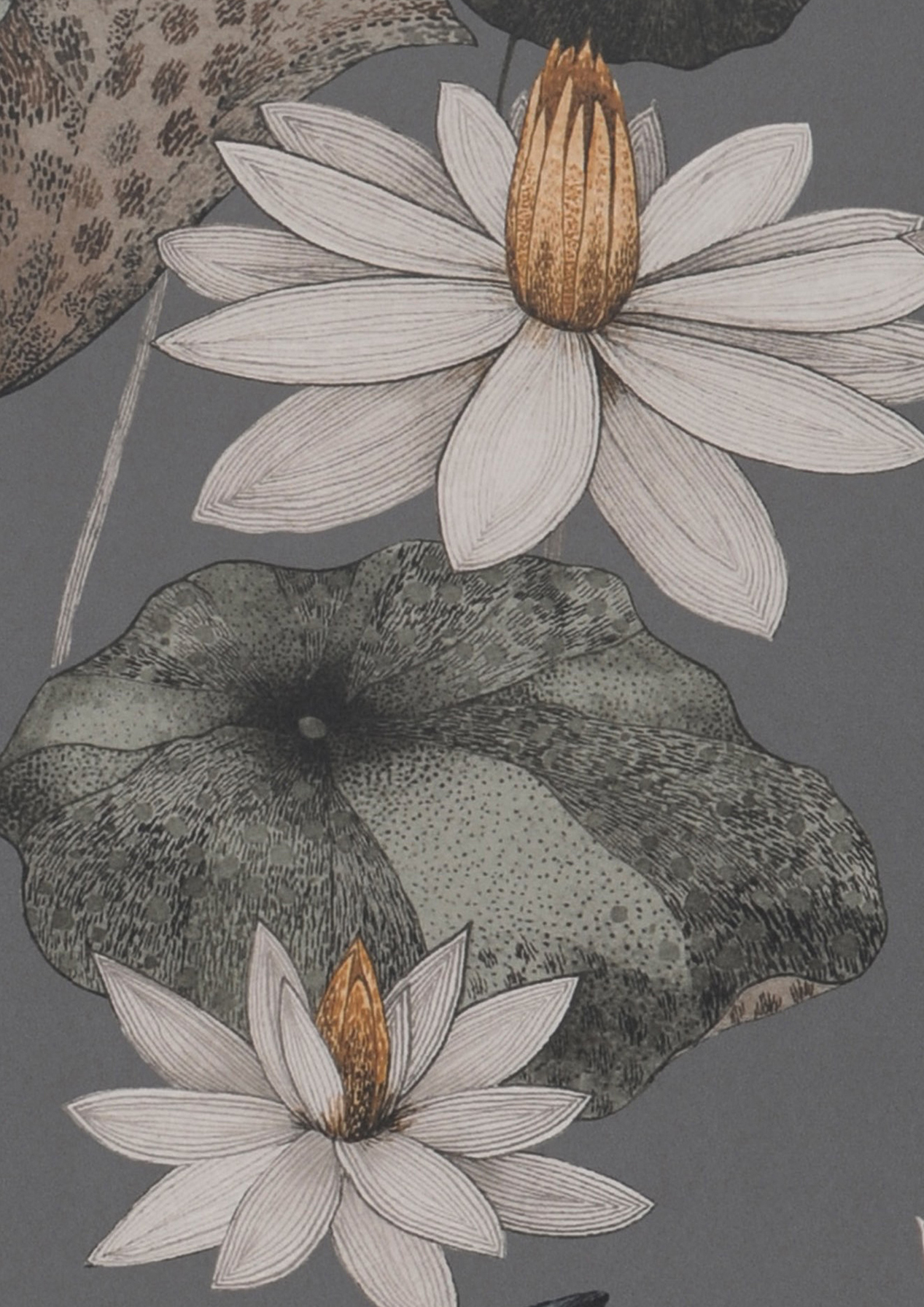 1267x1792  Фоновые картинки hd 1080p скачать бесплатно - Обои для рабочего стола: Джейкоб Твайлайт