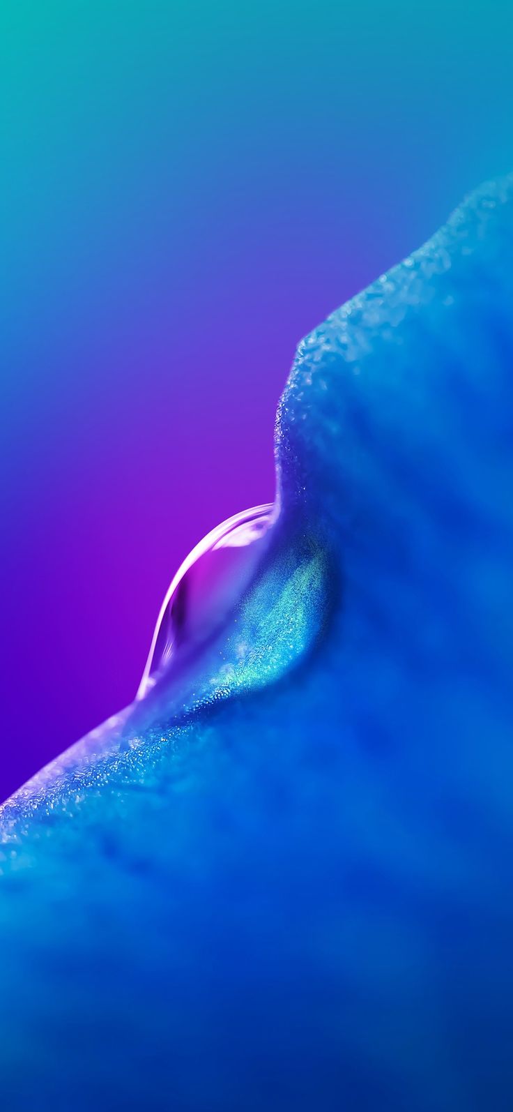 736x1594  Пинтерест