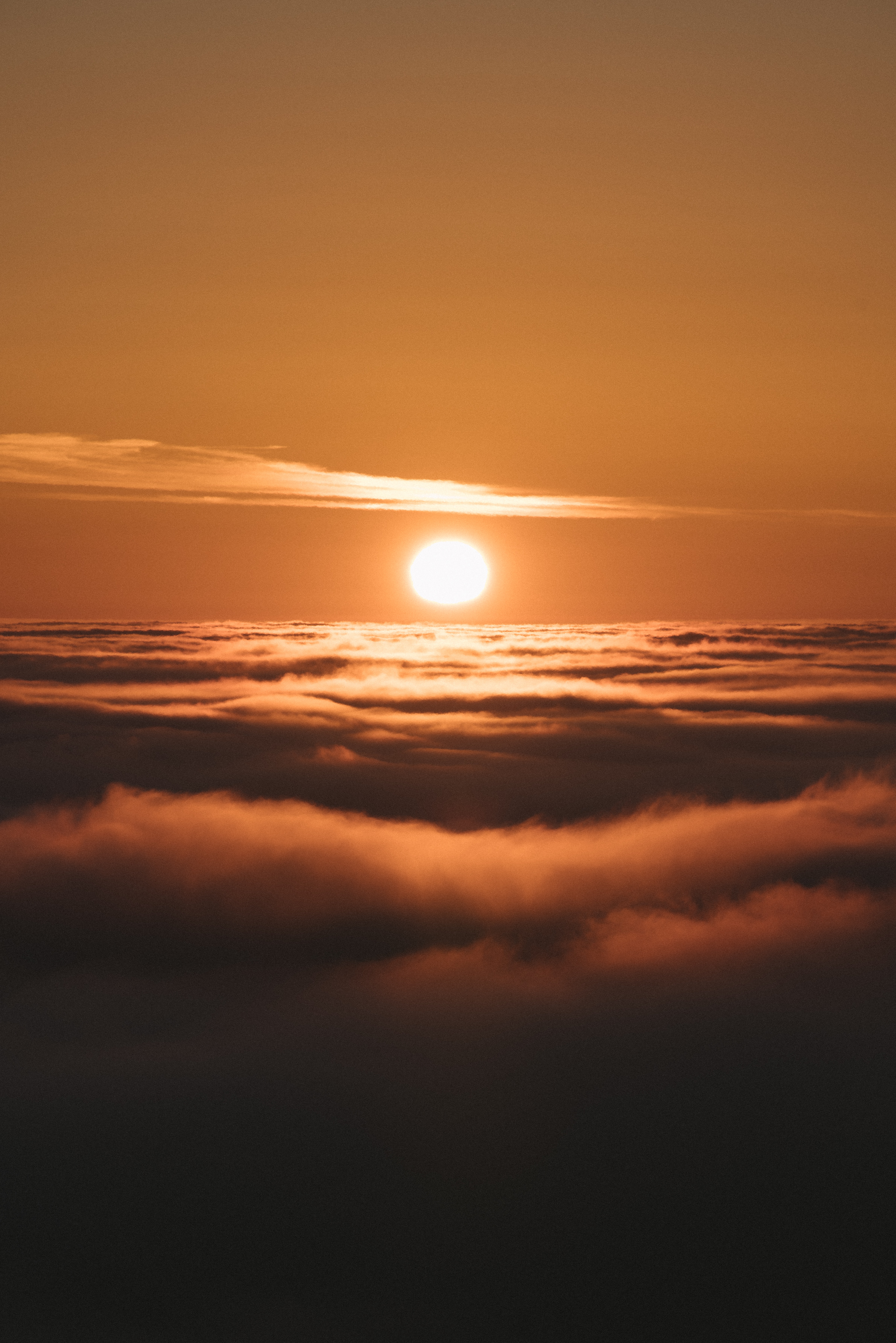 4759x7131  Страница 23 | Красно-белые изображения — Скачать бесплатно на Freepik