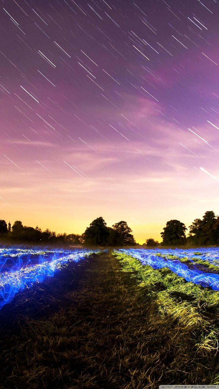 736x1308  Пин на доске Обои