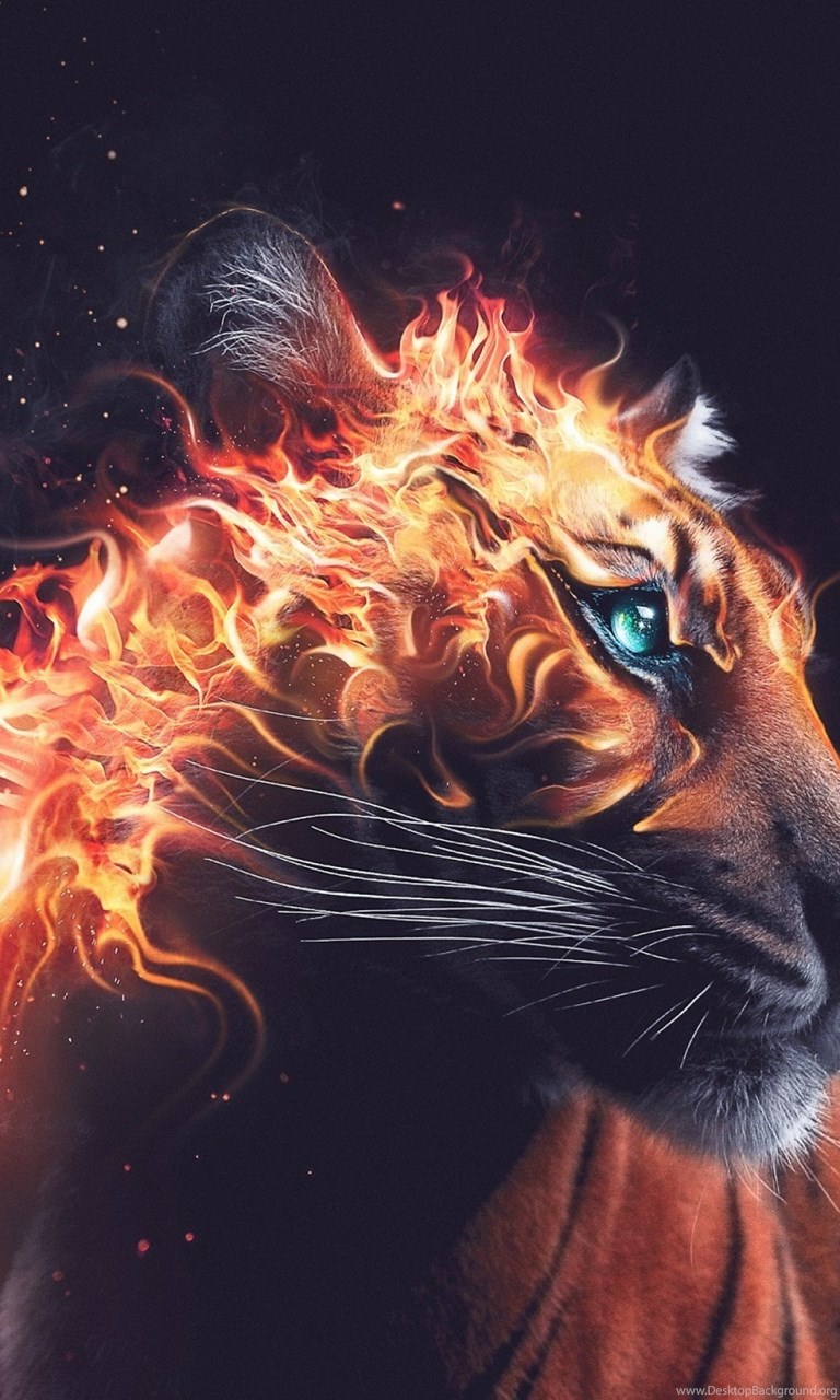 768x1280  46+] 2560 x 1440 Обои для телефона | ОбоиSafari.com