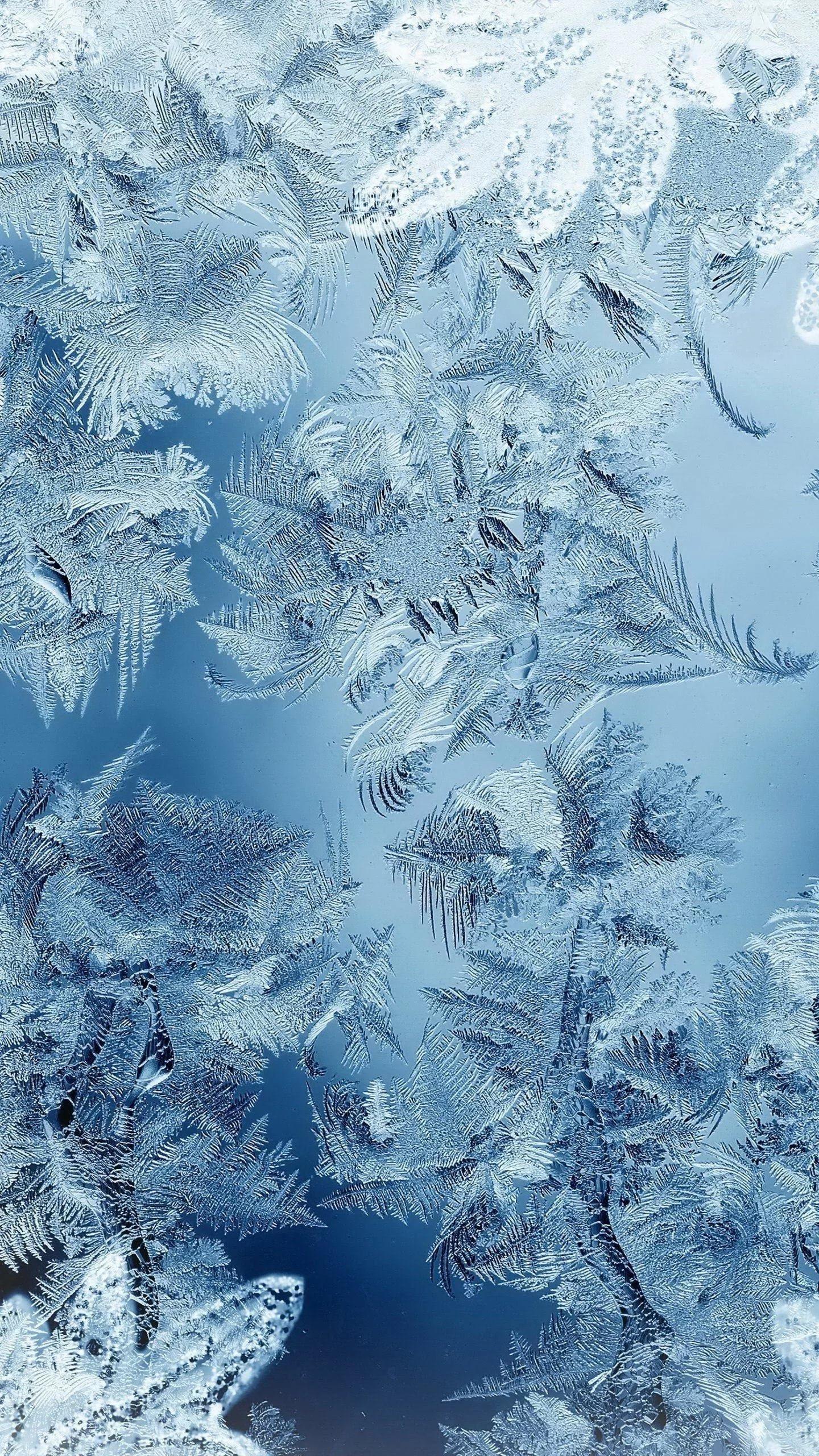 1440x2560  Новые Обои На Телефон Вертикальные – Telegraph