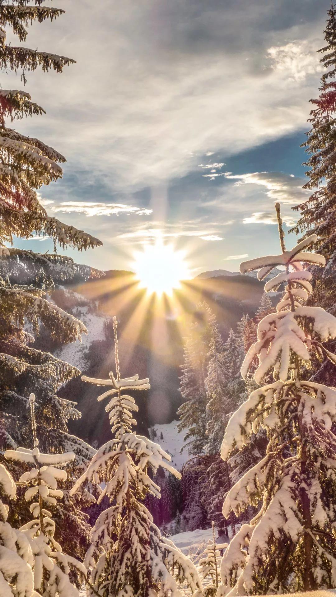 1080x1920  Вертикальные обои на айфон красивые зимние (52 картинки)