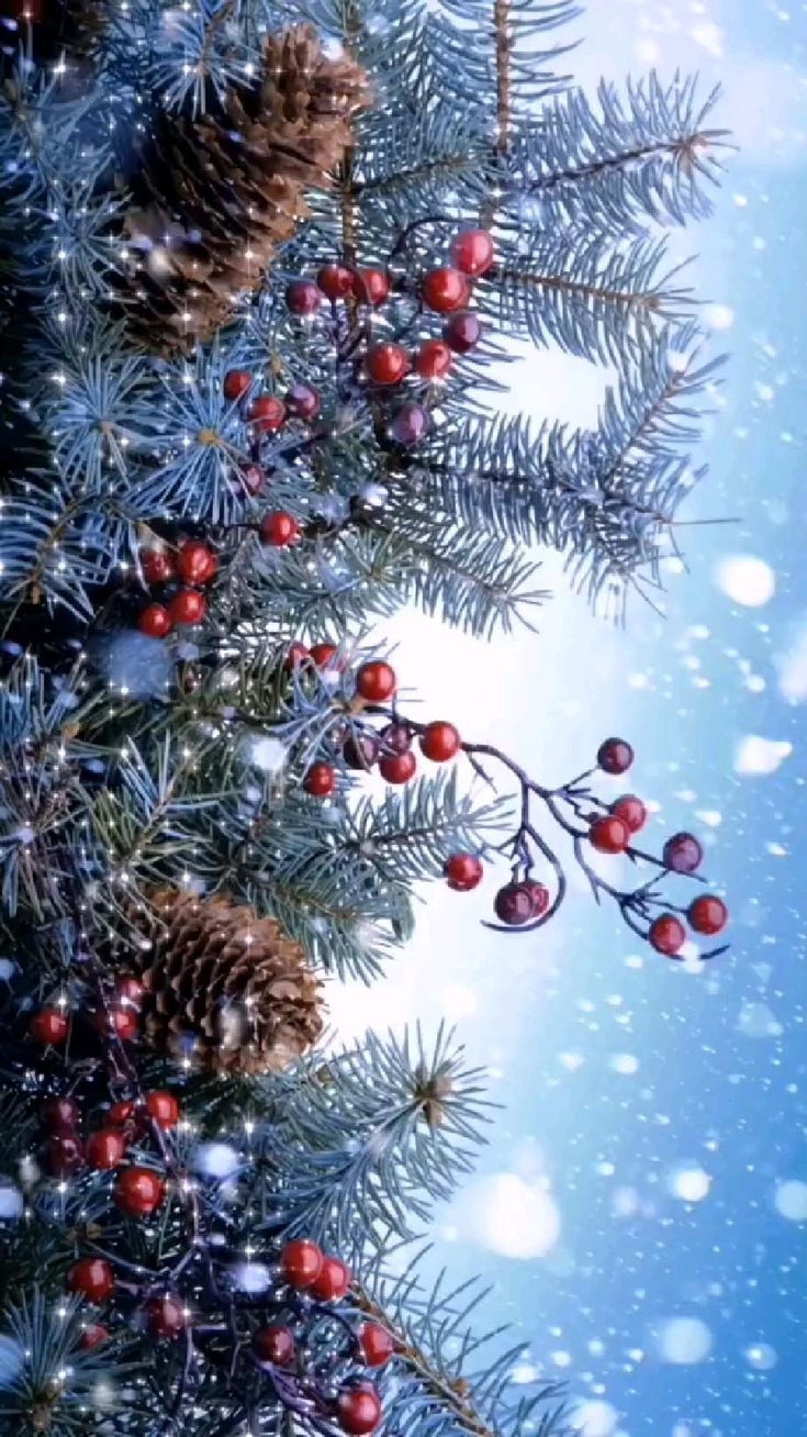 735x1308  доброе утро | Рождественские картинки, Рождественские изображения,  Рождественские пейзажи