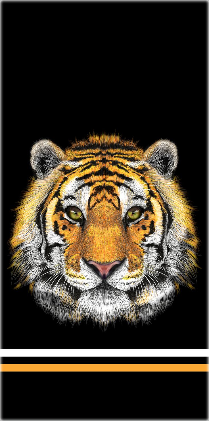 736x1478  Background for the phone \"Tiger\". Фон для телефона \"Тигр\". | Фон для  телефона, Тигр, Фон