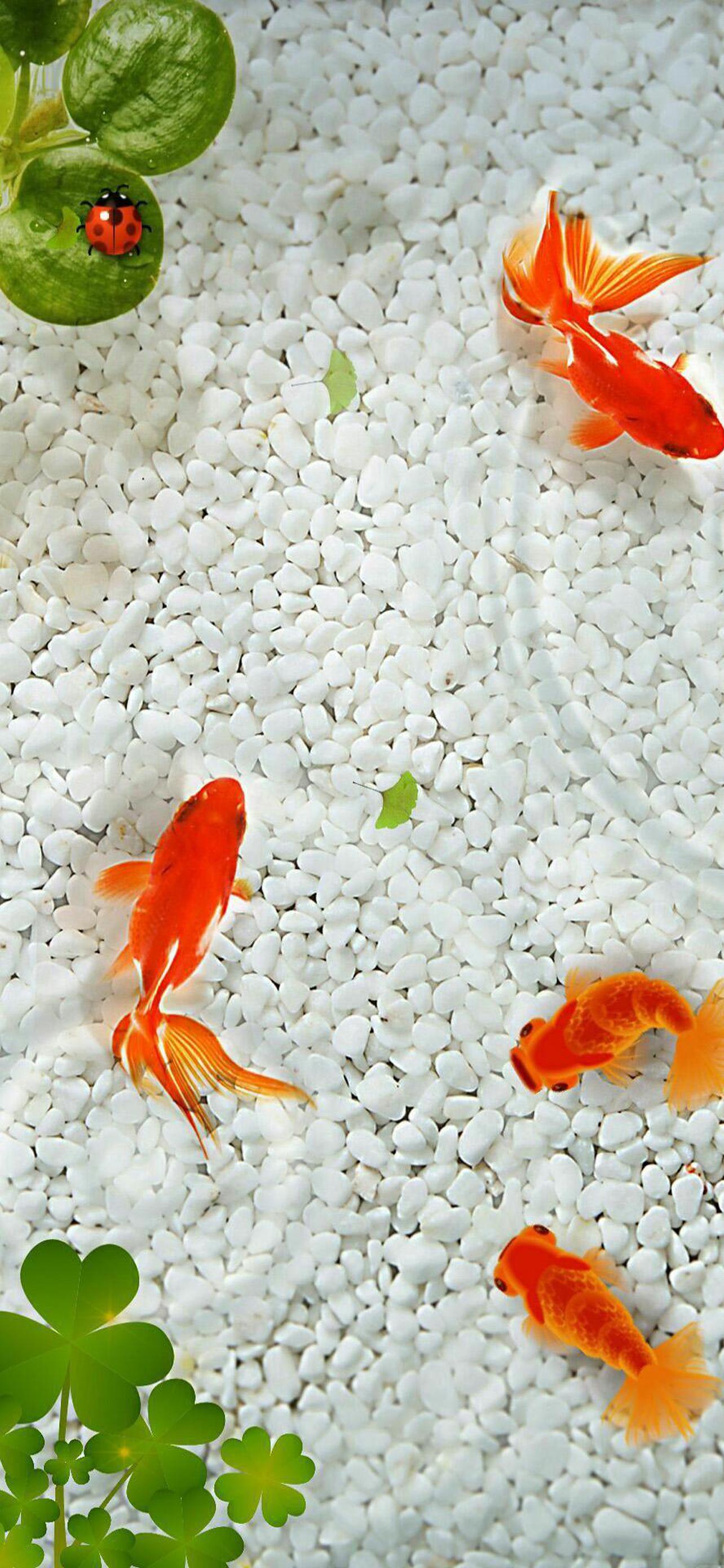 1284x2778  Золотые обои на телефон, скачать картинки золото | Zamanilka