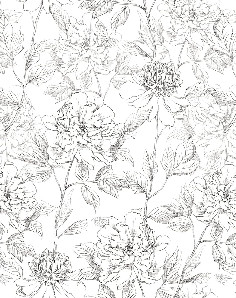 790x1000  Черно-белые обои JiffDiff с цветочным рисунком размером 17,3 x 394 дюйма, пионы, съемные обои с кожурой и наклейкой, цветочные обои с эскизами цветочных самоклеящихся предварительно наклеенных обоев, декор для стен (с эскизными цветочными узорами), обои — Amazon Canada
