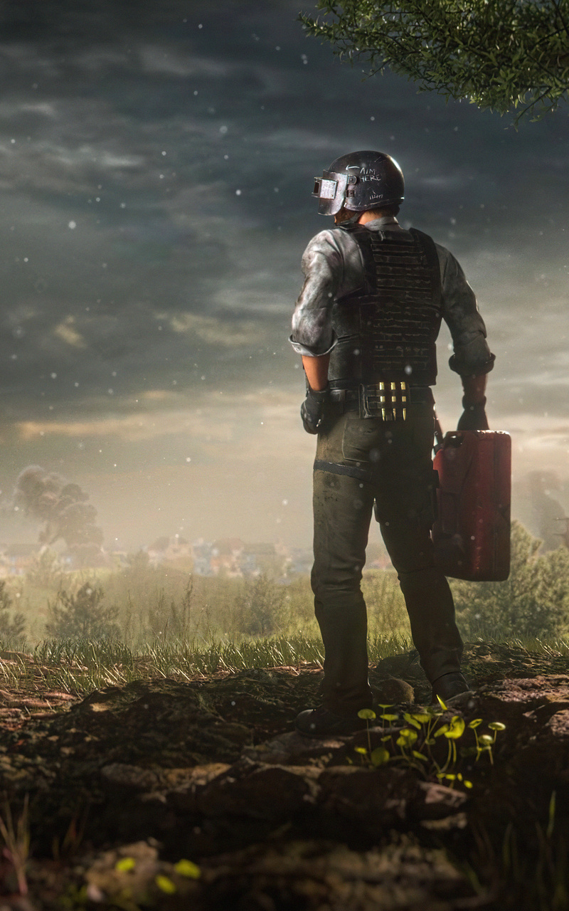 800x1280  Пабг, ледник, HD обои для телефона | Пикпикселей