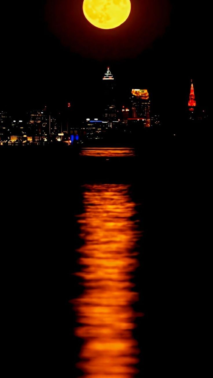 736x1308  Обои на айфон живые обои для телефона живые обои для iphone крутые обои на телефон  обои для iphone | Обои для iphone, Обои для телефона, Обои фоны