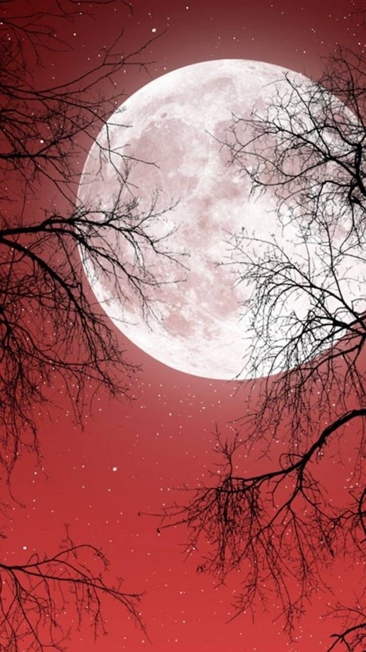 720x1280  Красная Луна обои - 60 фото