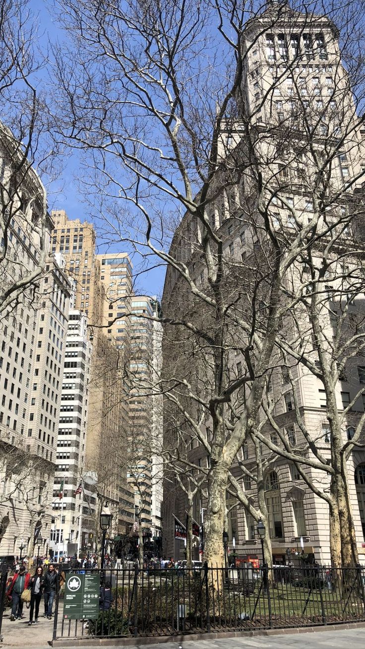 736x1308  Синие обои эстетика обои для телефона аниме черные обои для телефона  зеленые эстетика обои айфон | Building, Multi story building, Structures