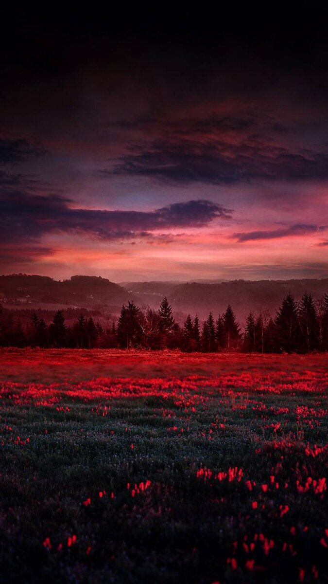 675x1200  Природа | 🌸Обои, картинки на телефон💮 | Дзен