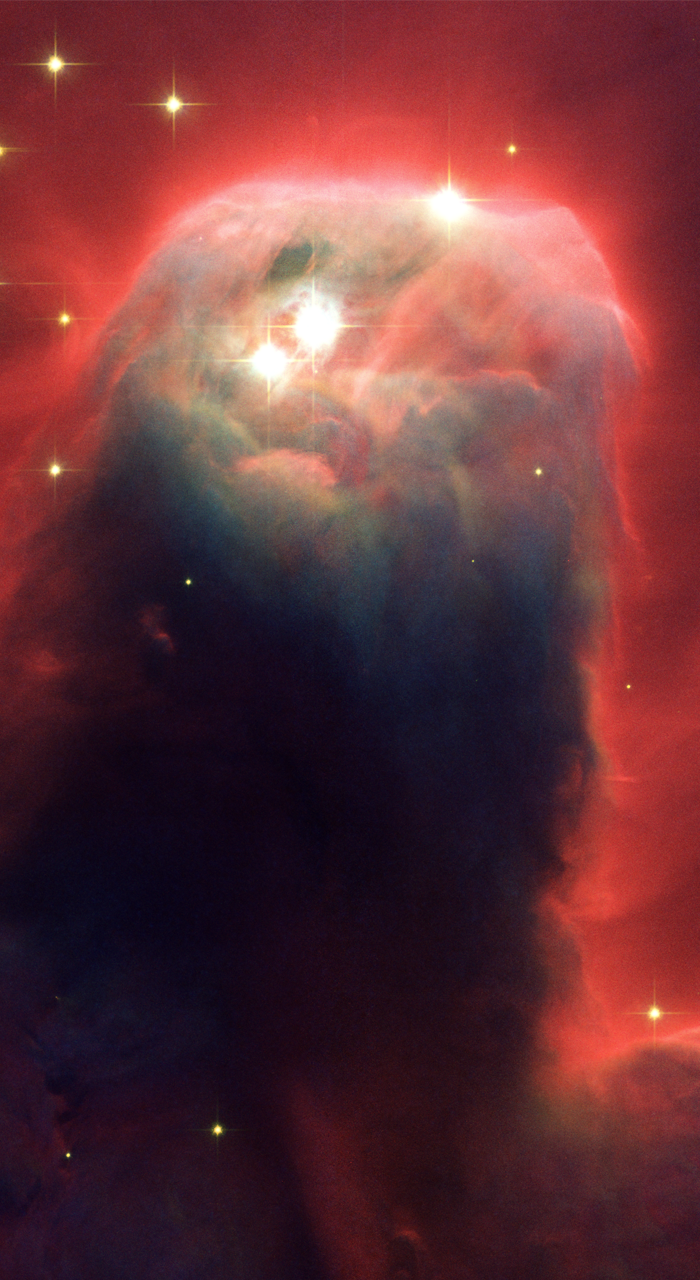 700x1280 35+ Hubble Phone Wallpapers - Apes In Space