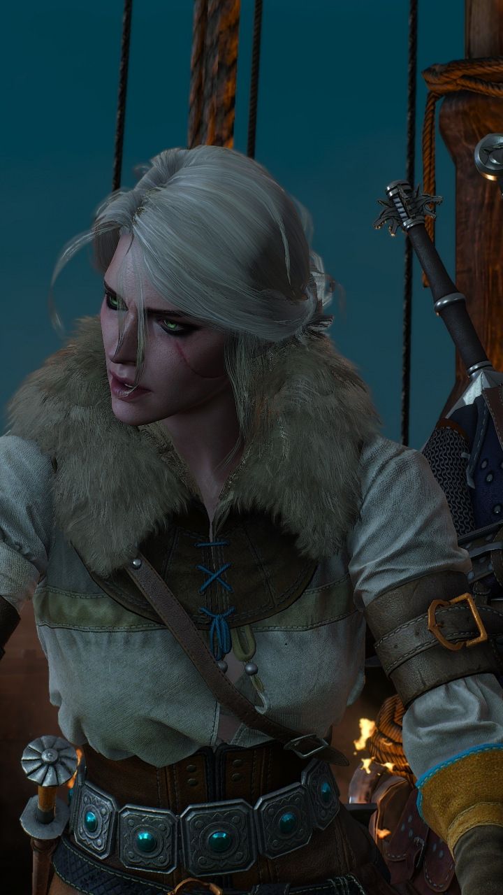 720x1280  Все воины вместе, Ведьмак 3: Дикая Охота, 720x1280 Обои | Ведьмак, Ведьмак 3, Дикая охота