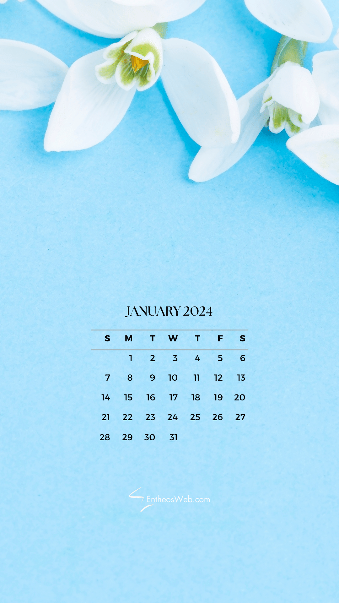 1080x1920  Cute Pink Wallpaper Hd 2024: Amazon.com: Appstore для Android