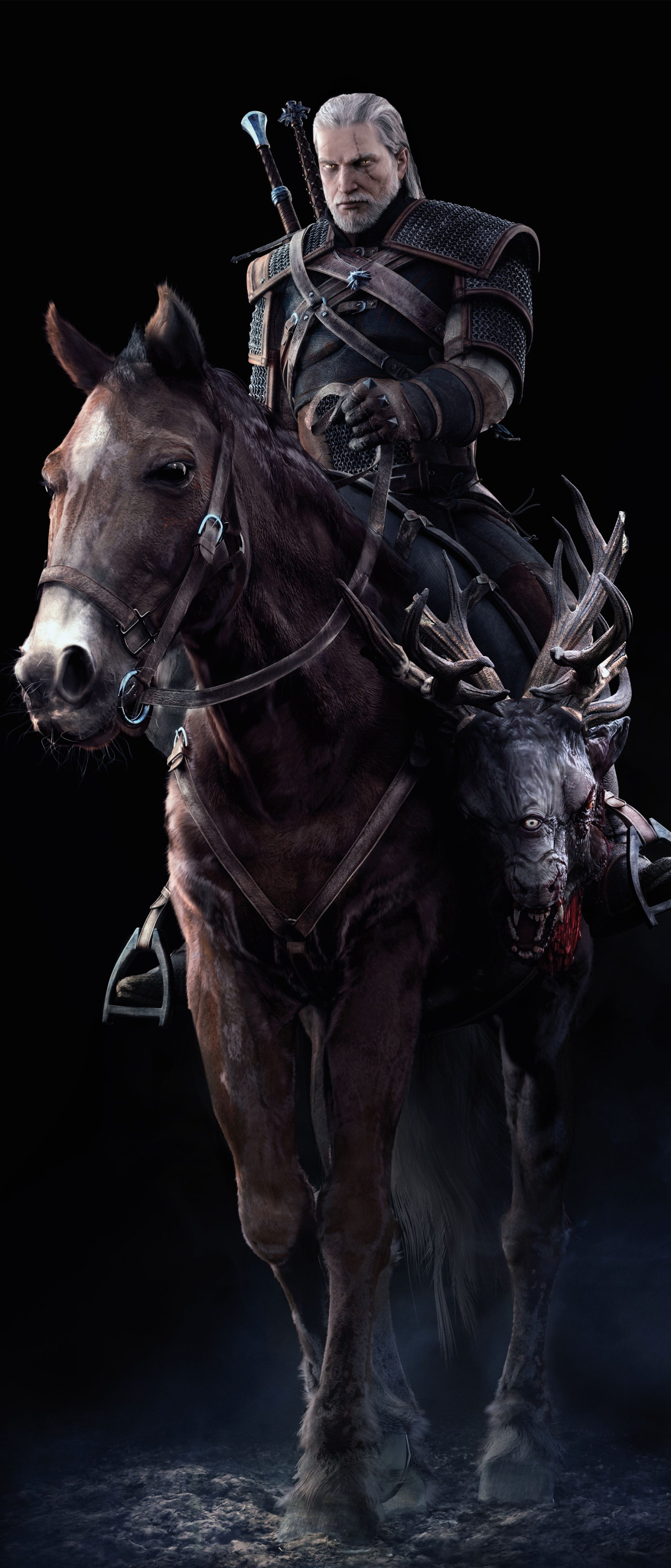 1644x3840  The Witcher 3: Wild Hunt Phone Wallpapers