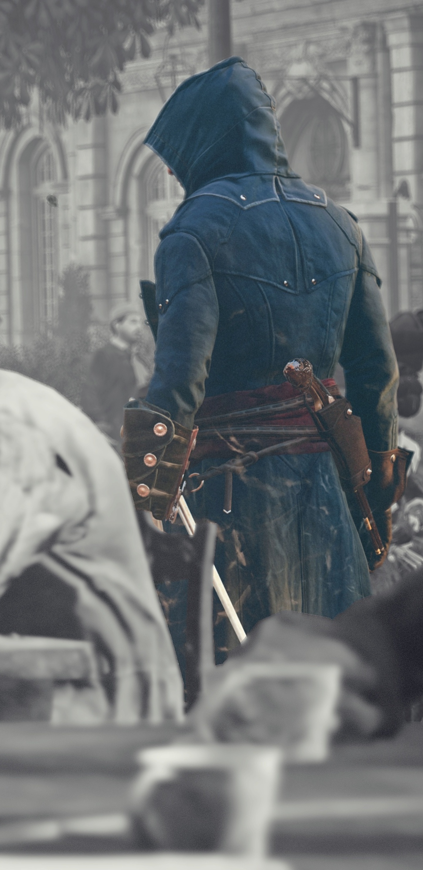 1440x2960  Вертикальная дорога Iphone обои | Обои Assassin's Creed, Assassins Creed черный флаг, Assassins Creed