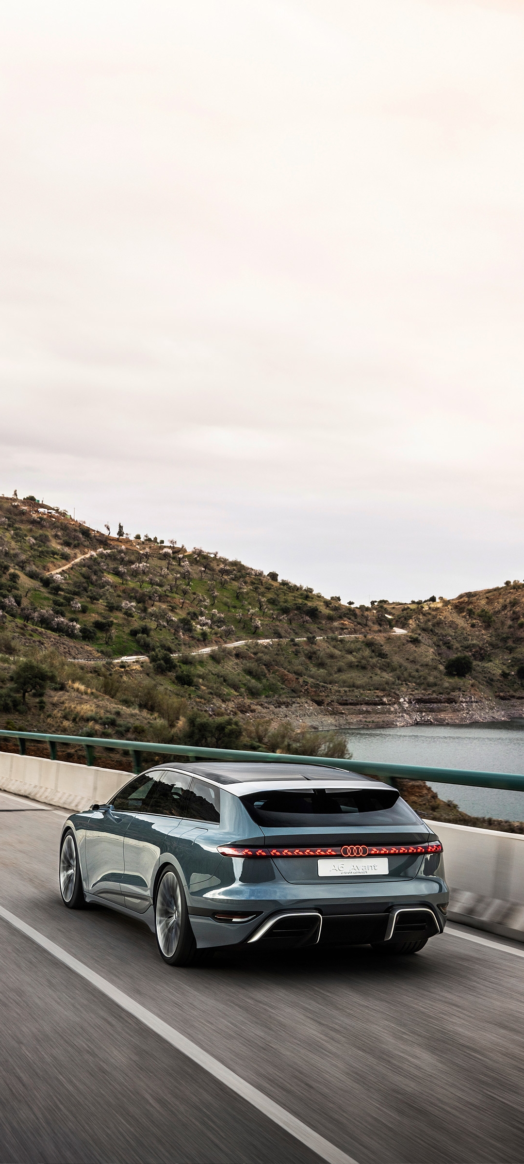 1080x2400  Скачать 938x1668 audi, a6, avant, quattro, silver, вид сбоку обои, картинки iphone 8/7/6s/6 for parallax