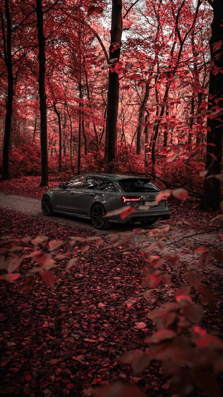 720x1280  Audi RS 6 Avant производительность Обои 4K, 5K