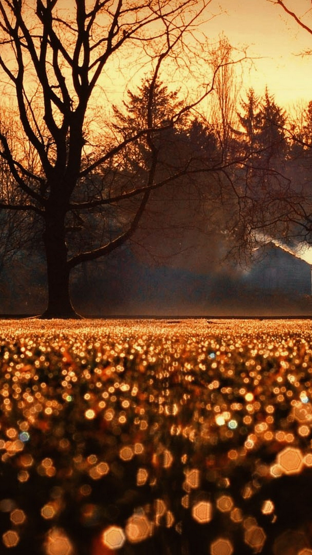 1080x1920  Осенние обои для iPhone — 20 милых осенних фонов для iPhone, которые можно скачать бесплатно — Нэнси Бадилло