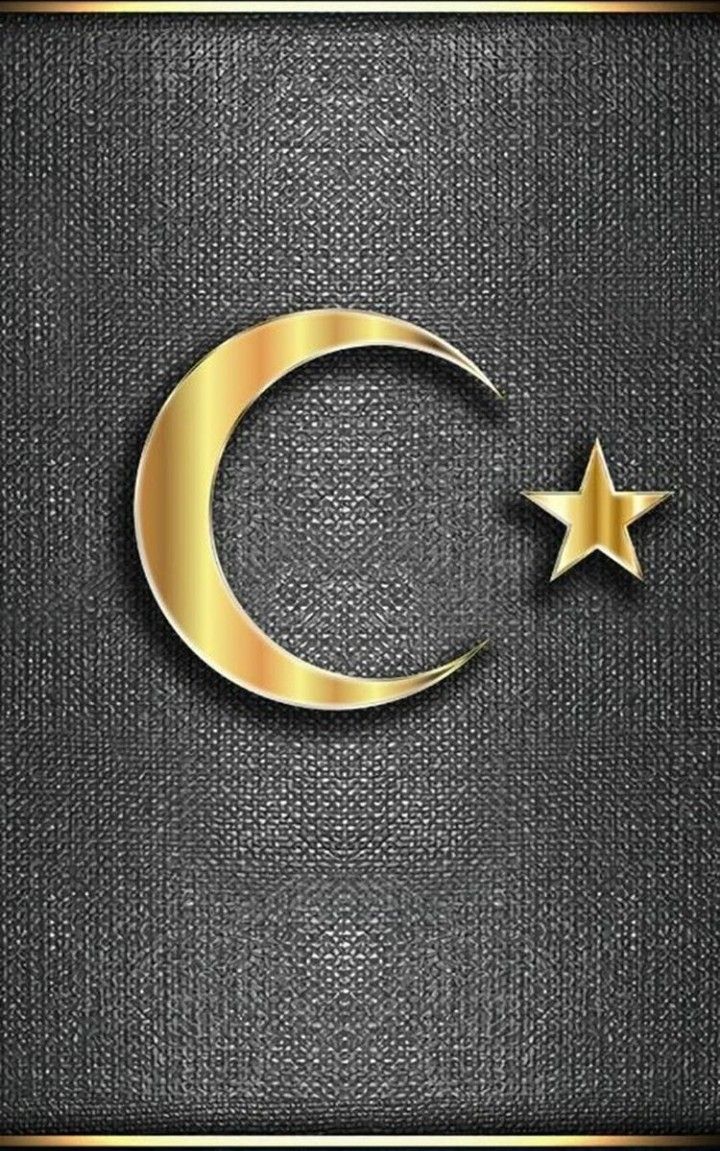 720x1151  Скачать бесплатно обои 100 + ay yldz