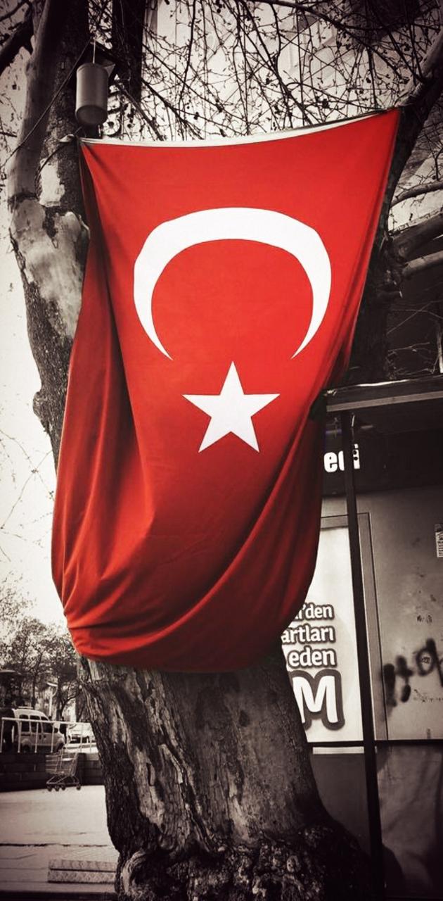 630x1280  Скачать бесплатно обои 100 + ay yldz