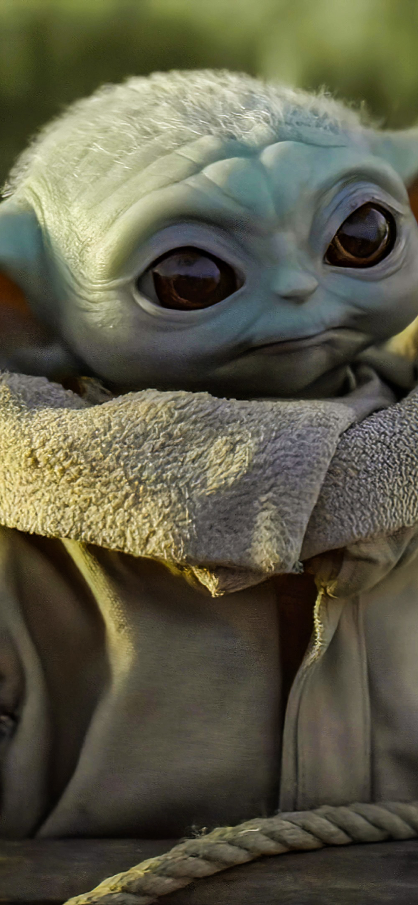 828x1792  Скачать картинки «Малыш Йода» на телефон, бесплатные HD картинки «Малыш Йода»