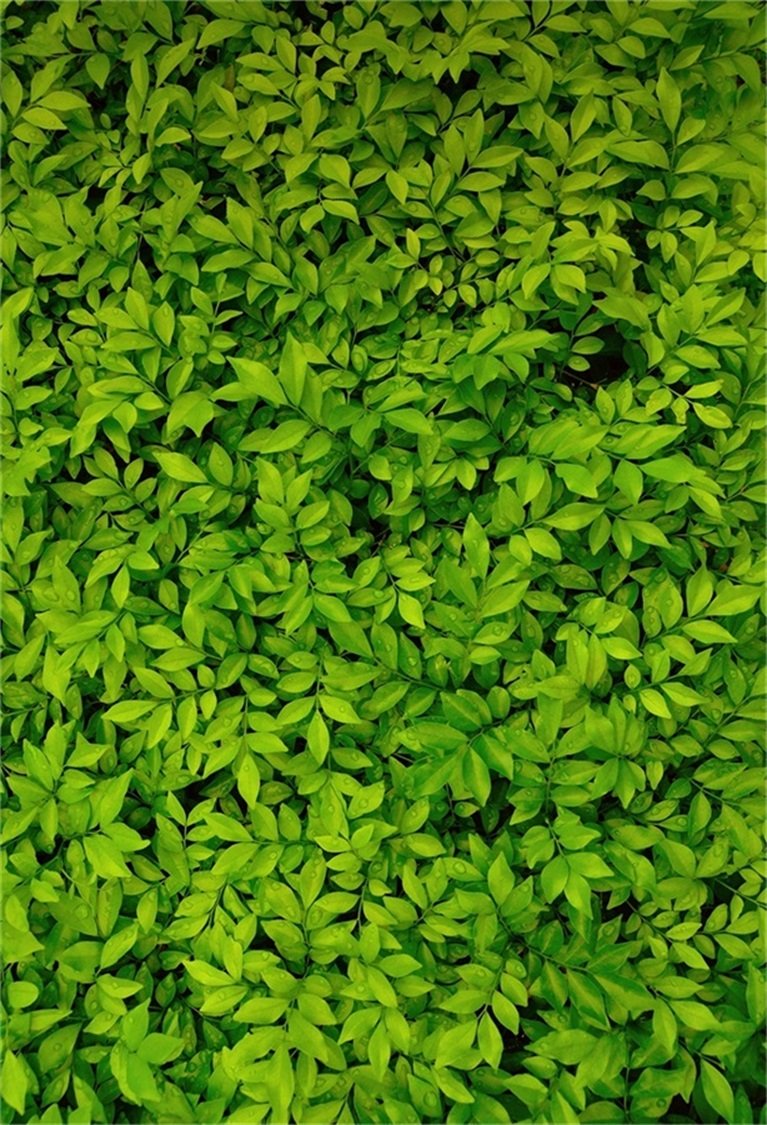 767x1125  милые фотографии, которые я сделал #fyp #cute #heartwitheyes #heart #wallpaper #profil... | сердце с глазами обои | ТИК Так