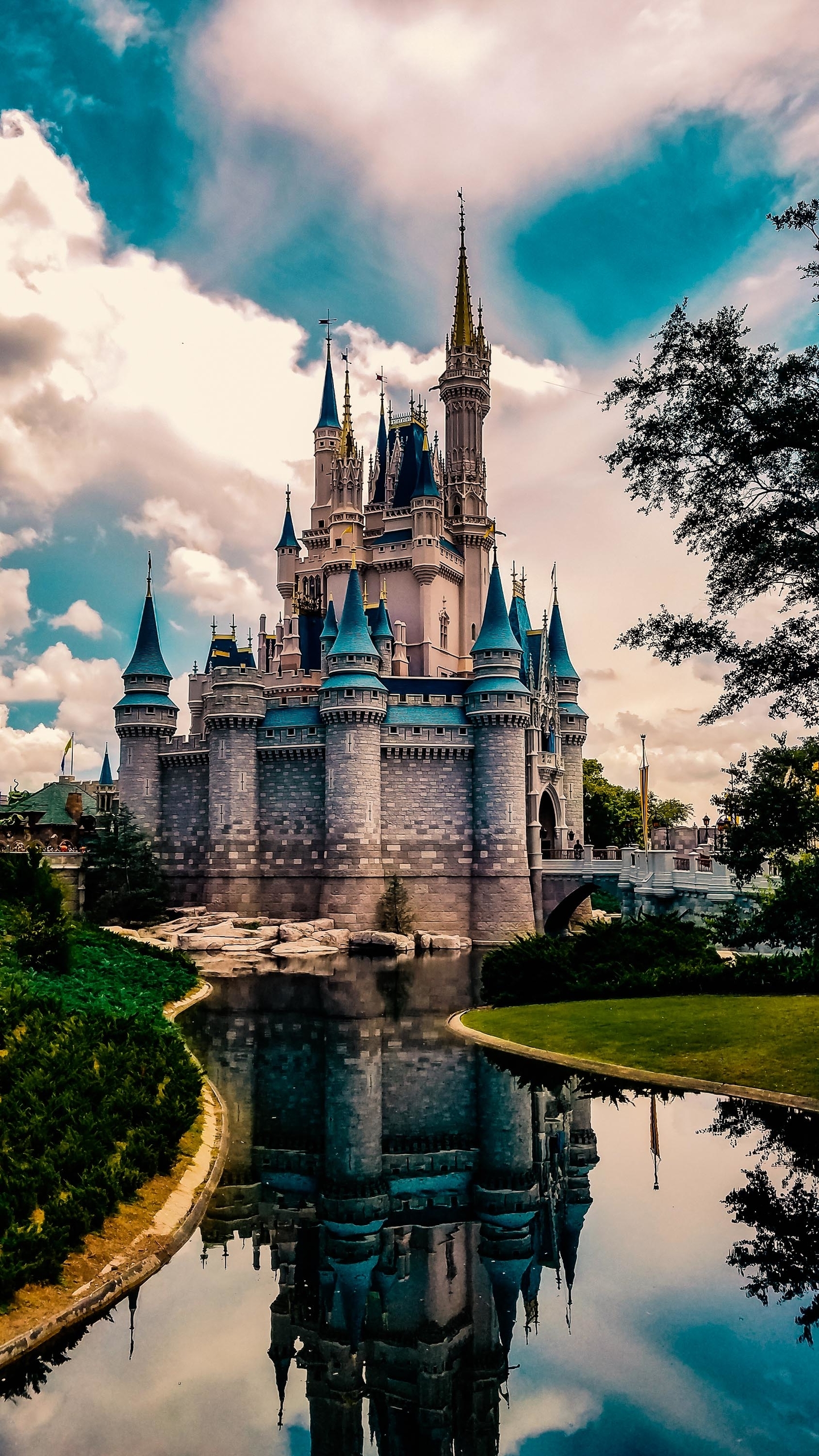 1440x2560  Walt Disney World Сотовый телефон - 1440x2560 Обои - teahub.io 