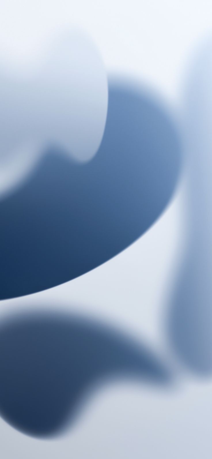 736x1592  Синий фон, фотографии и обои для бесплатного скачивания