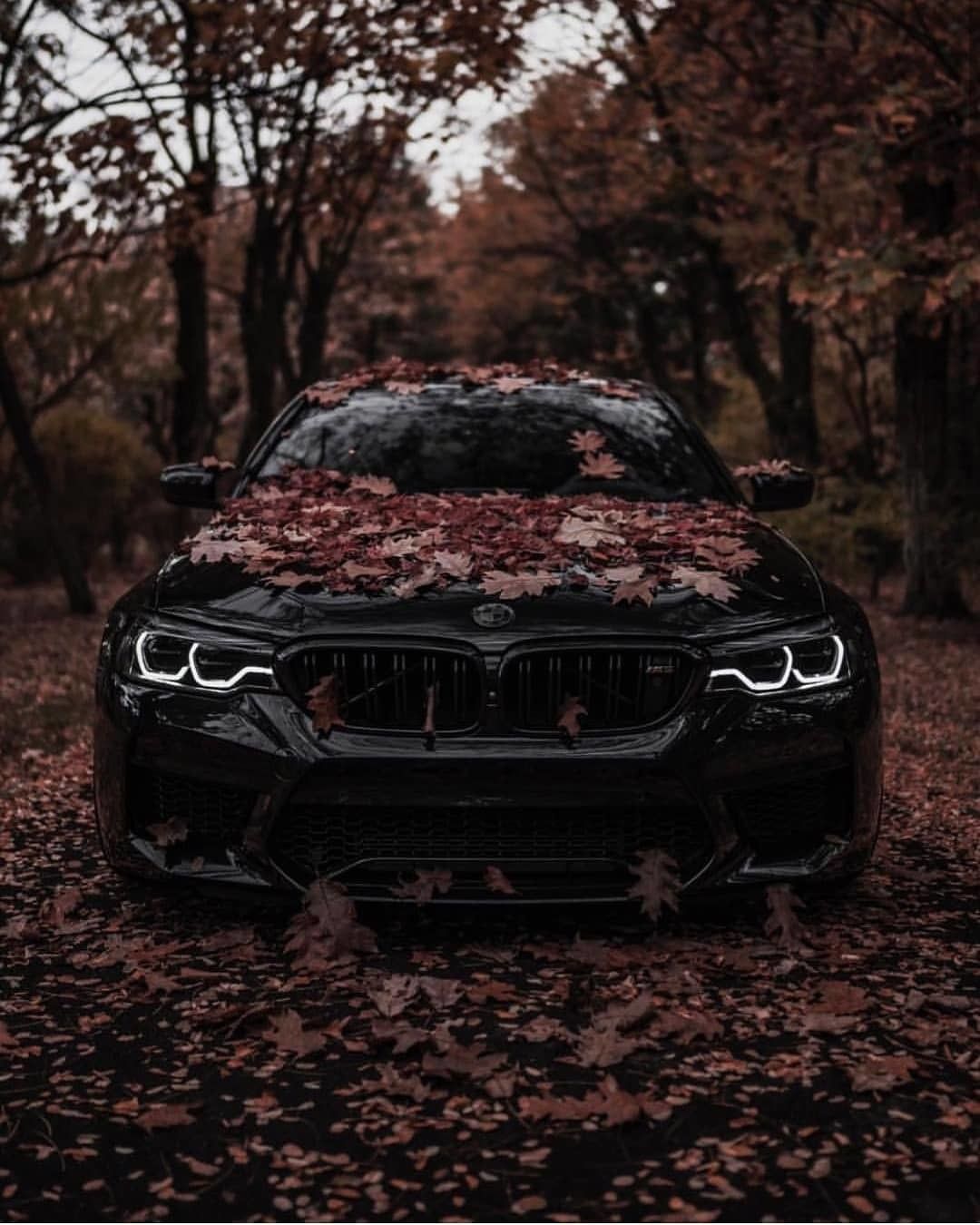 1080x1350  30+ BMW M5 F90 обои на телефон от sergej64