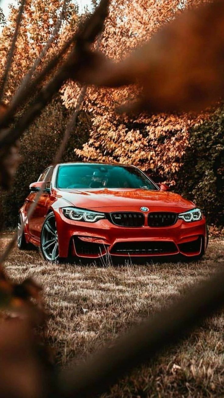 736x1308  BMW M3 Обои 4K, Белые автомобили, Темный фон