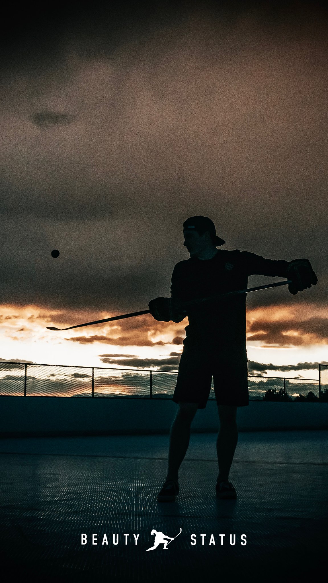 1152x2048  PHONE ОБОИ - Beauty Status Hockey Co .