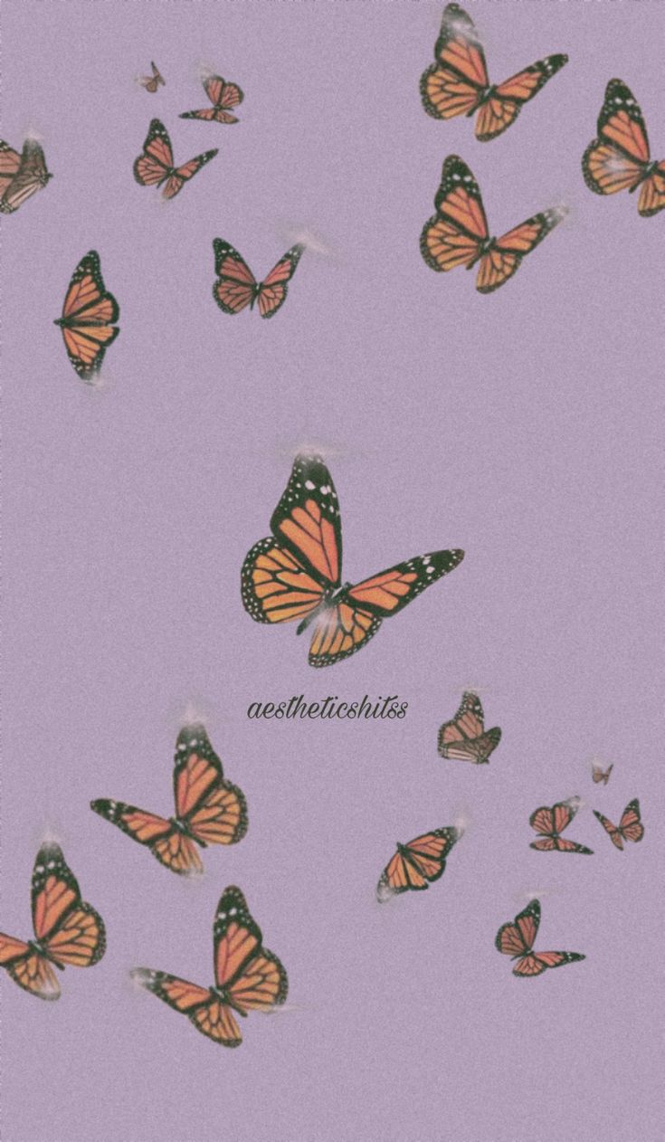 735x1262  Обои с эффектом бабочки | Фоны обои для телефона, Обои с бабочками, Фиолетовые фоны