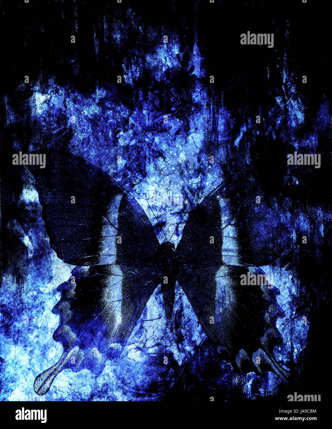 1076x1390  Высококачественные стоковые фотографии и изображения с эффектом бабочки - Страница 14 - Alamy