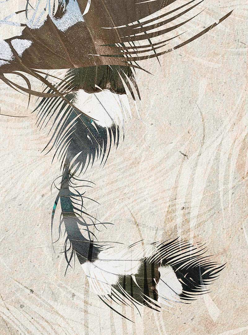 800x1080  Эффект бабочки — современные обои от Idea Murale